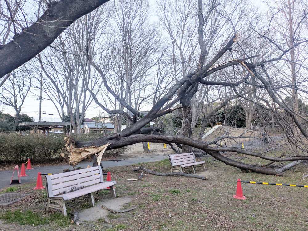 実績3 (Landscape Project 3)