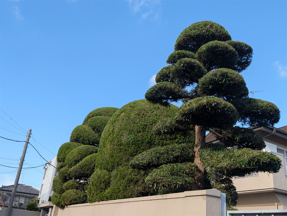 植栽手入れ・管理の様子